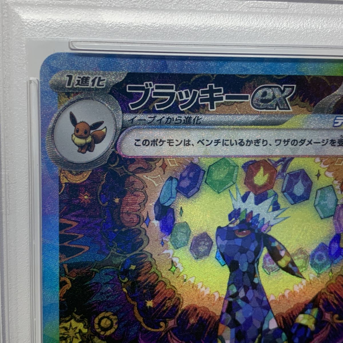 PSA10】ポケモンカード ブラッキーex 217/187 SAR テラスタルフェスex