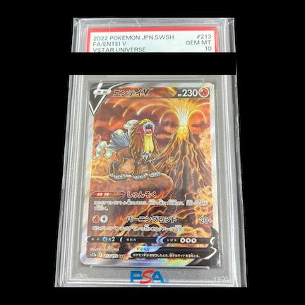 PSA10】エンテイV SAR 213/172 1枚