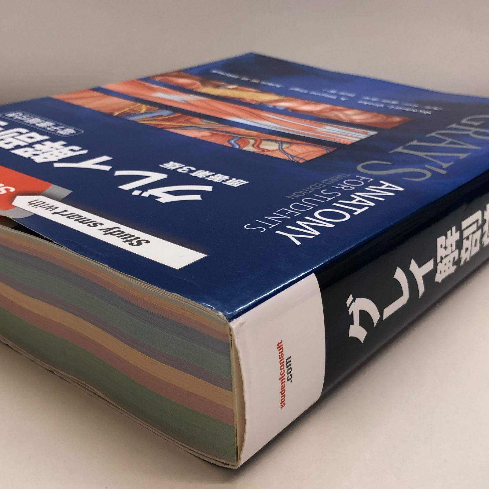◇[K]グレイ解剖学 原著第3版 電子書籍(日本語版・英語版)付 Richard