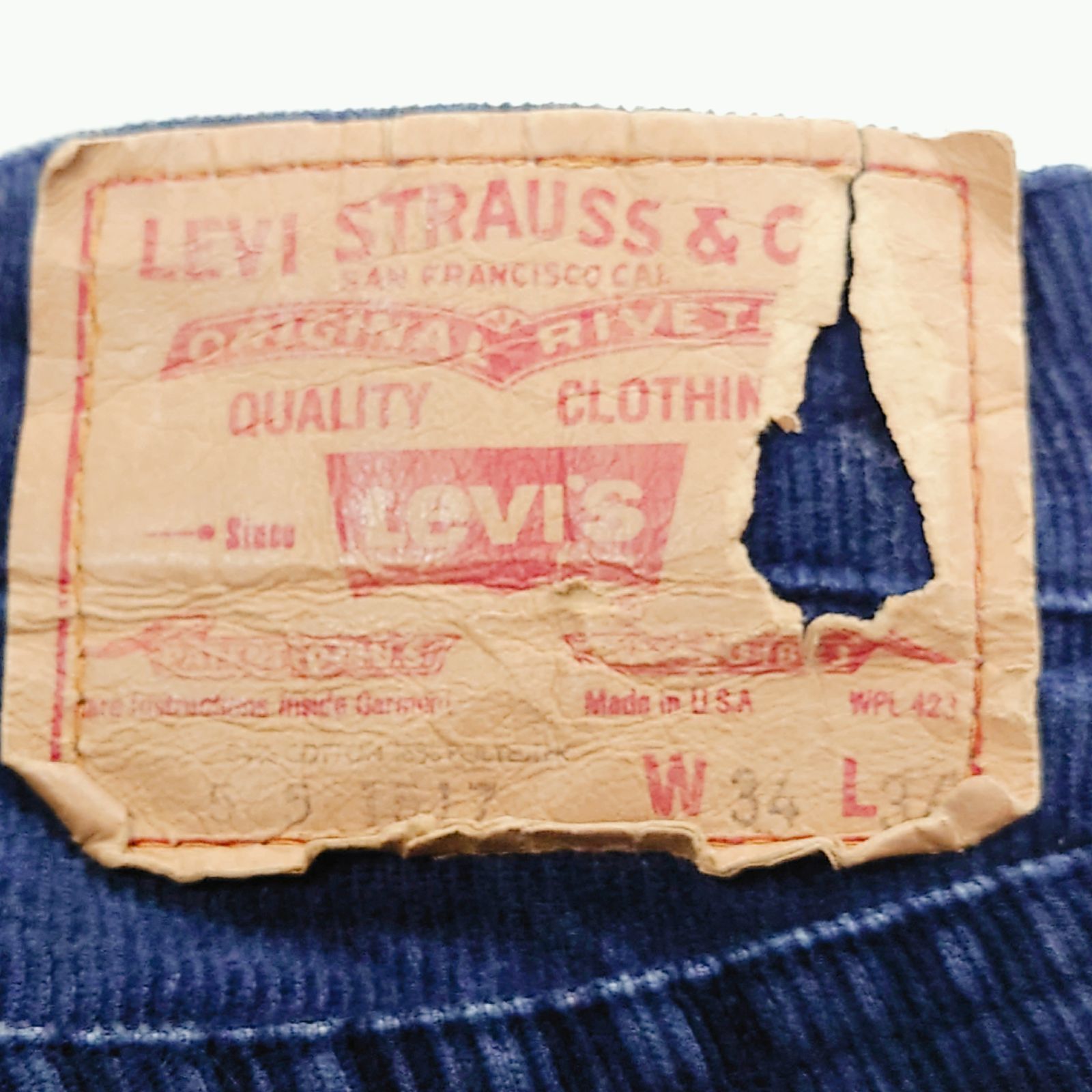 Levi