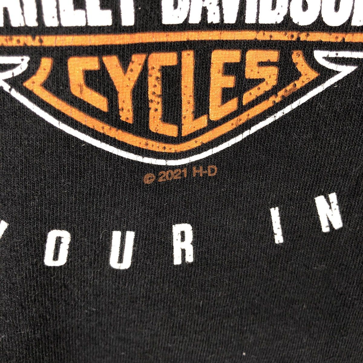 古着 ハーレーダビッドソン Harley-Davidson ピンナップガール 