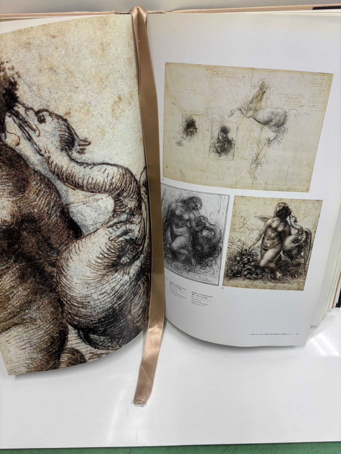 レオナルド・ダ・ヴィンチ 全絵画作品・素描集 大型画集 TASCHEN 定価