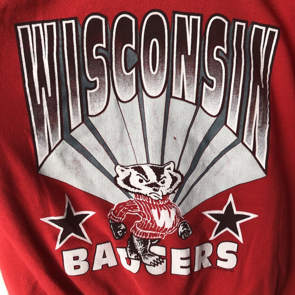 古着 90年代 タルテックス Tultex WISCONSIN ウィスコンシン大学
