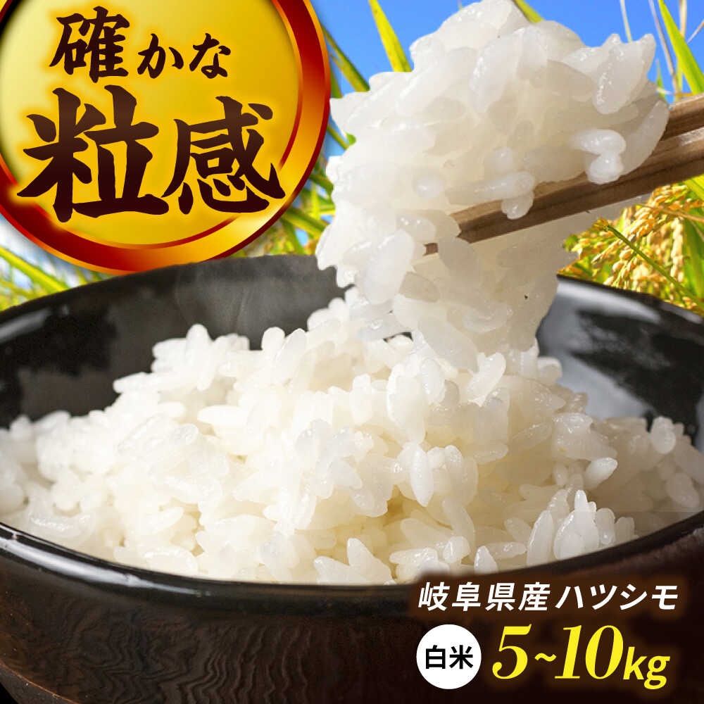 岐阜のお米「ハツシモ」 白米20Kg 令和7年産 岐阜のお米「ハツシモ」 白米20Kg 令和7年産 - メルカリ