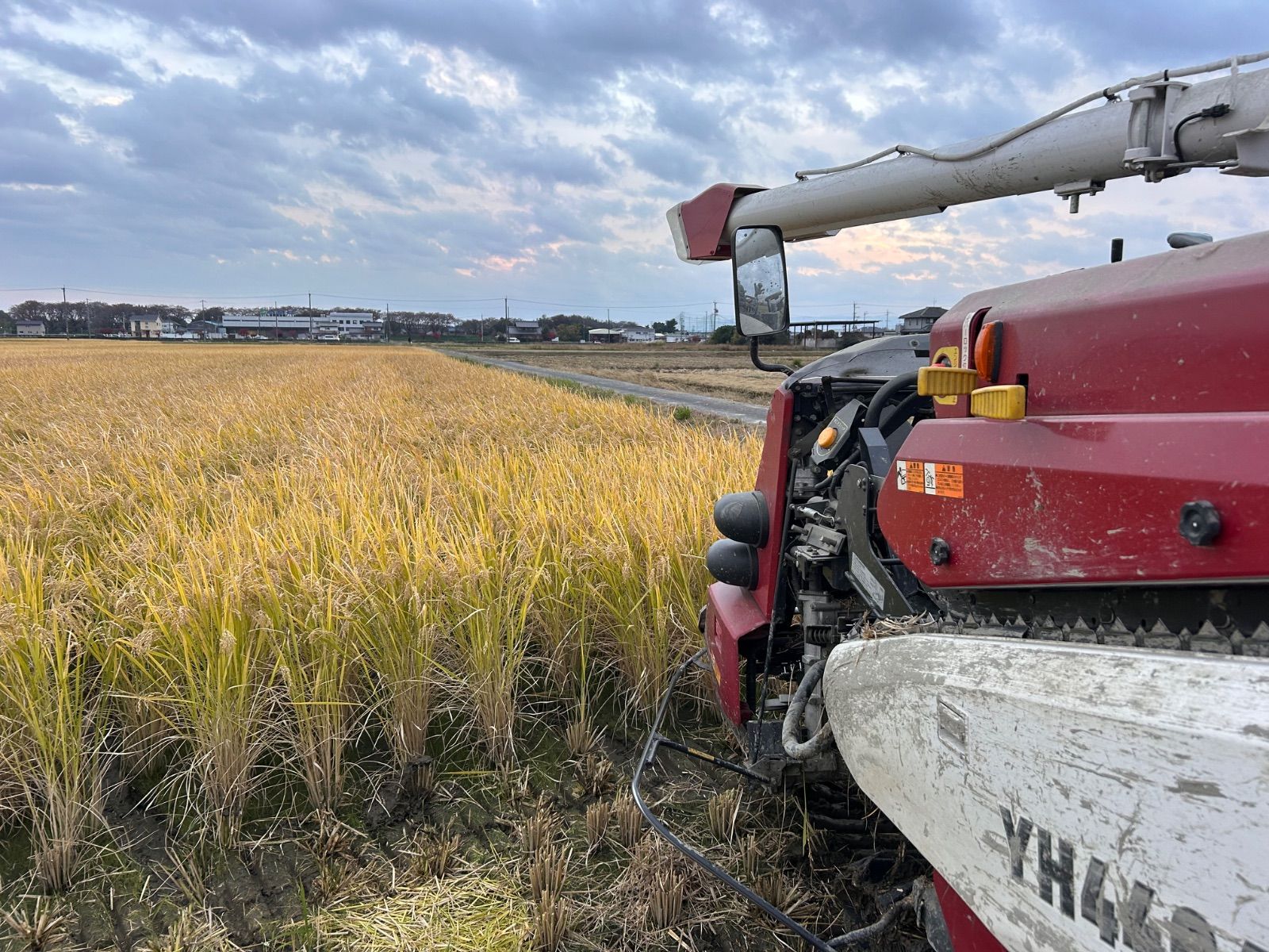 岐阜のお米「ハツシモ」 白米20Kg 令和7年産 岐阜のお米「ハツシモ」 白米20Kg 令和7年産 - メルカリ
