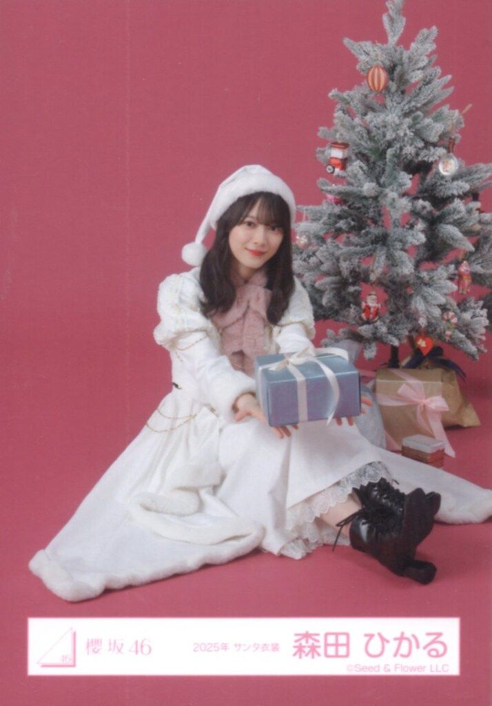 櫻坂46 森田ひかる 直筆サイン入り生写真 2025年サンタ衣装 商品詳細
