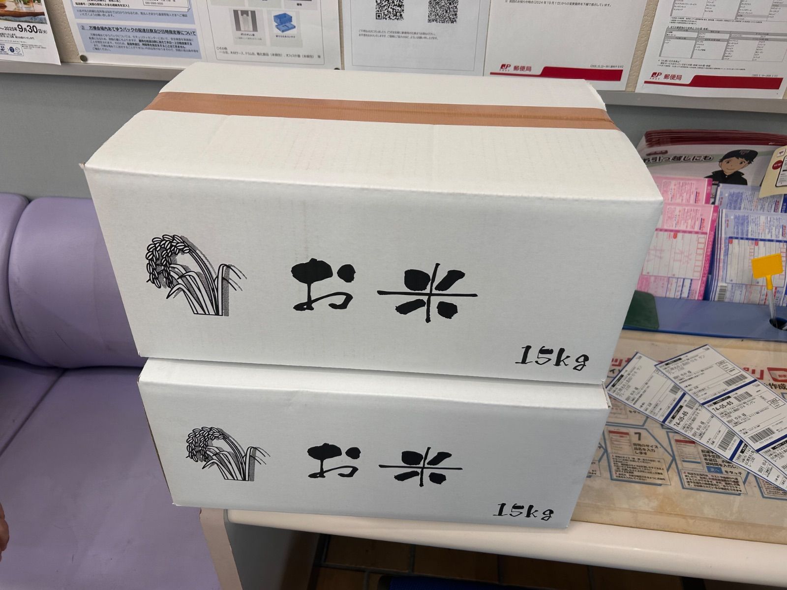 幻の米ハツシモ 30kg 令和7年産 岐阜産 白米 - メルカリ