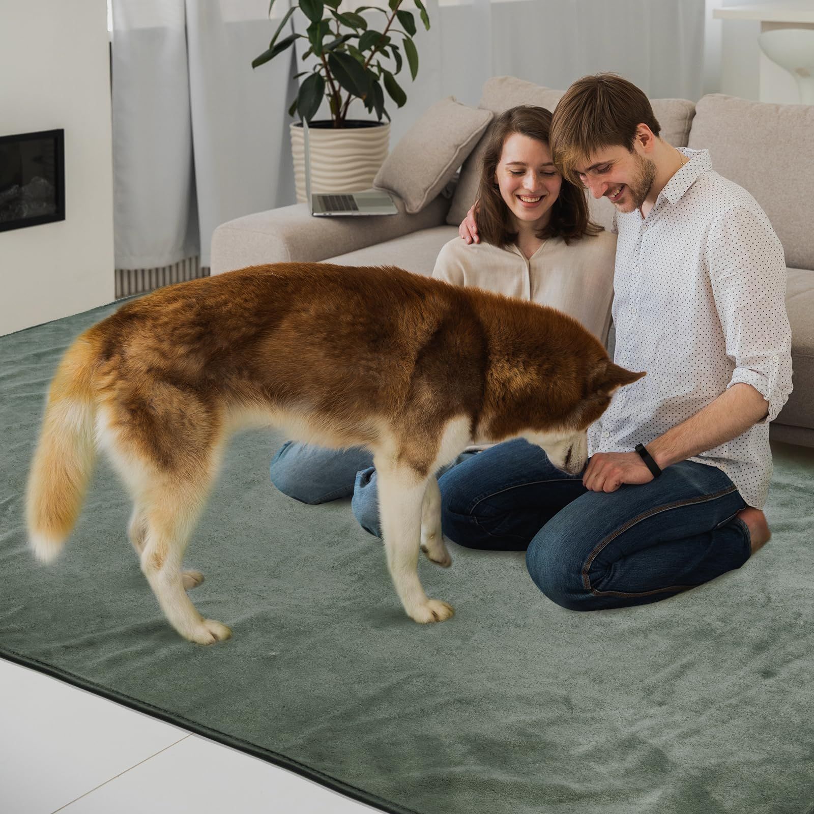 トイレシーツ 犬 トイレ下敷き マット 人気商品 LOOBANI 洗えるペット