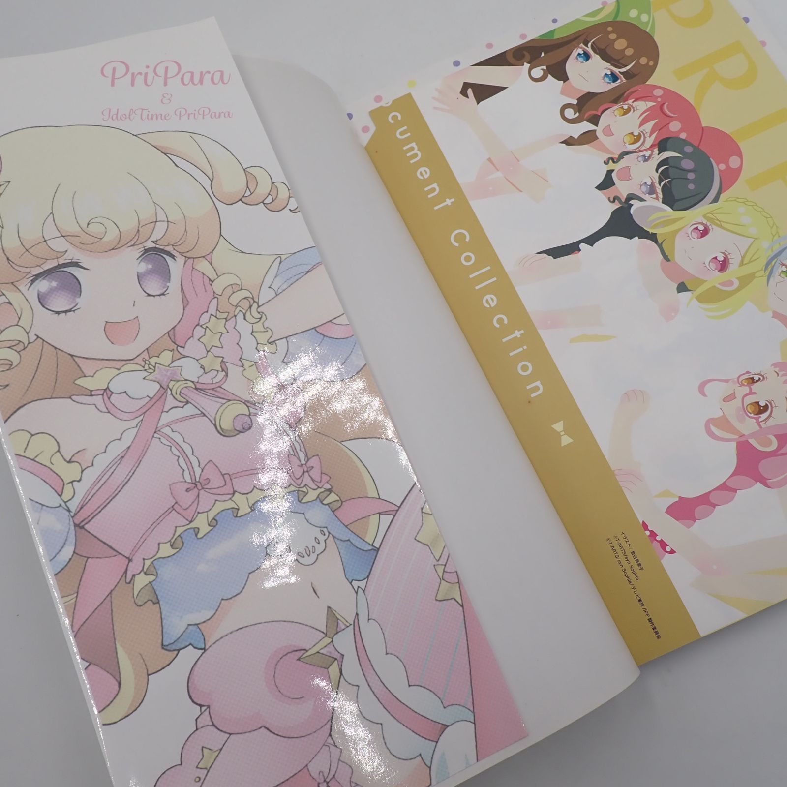 送料無料 プリパラ&アイドルタイム プリパラアニメ設定資料集