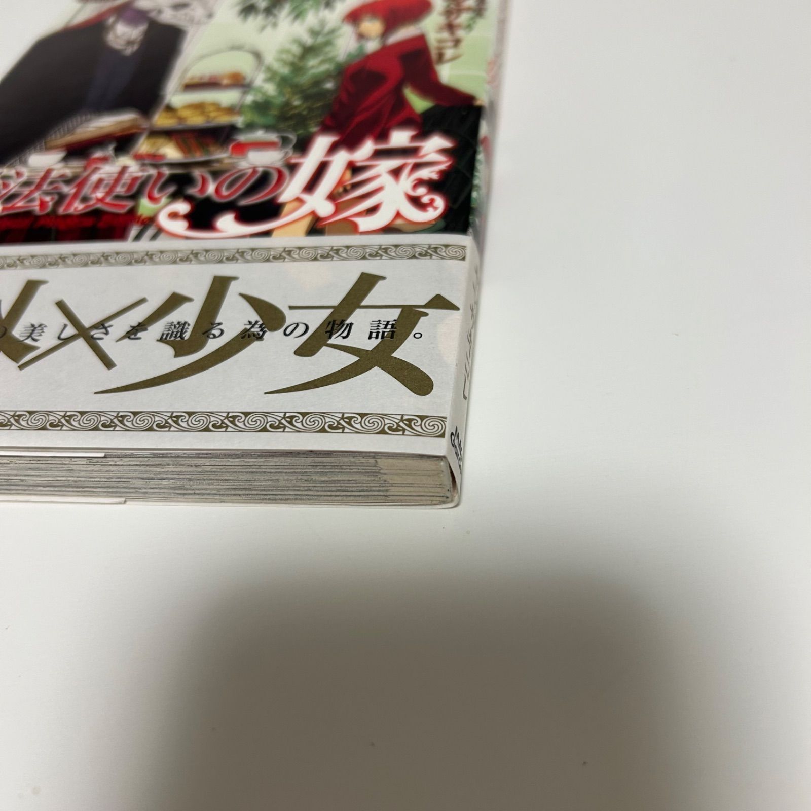 初版】希少 初版 魔法使いの嫁 1巻 ヤマザキコレ【帯付】 - メルカリ