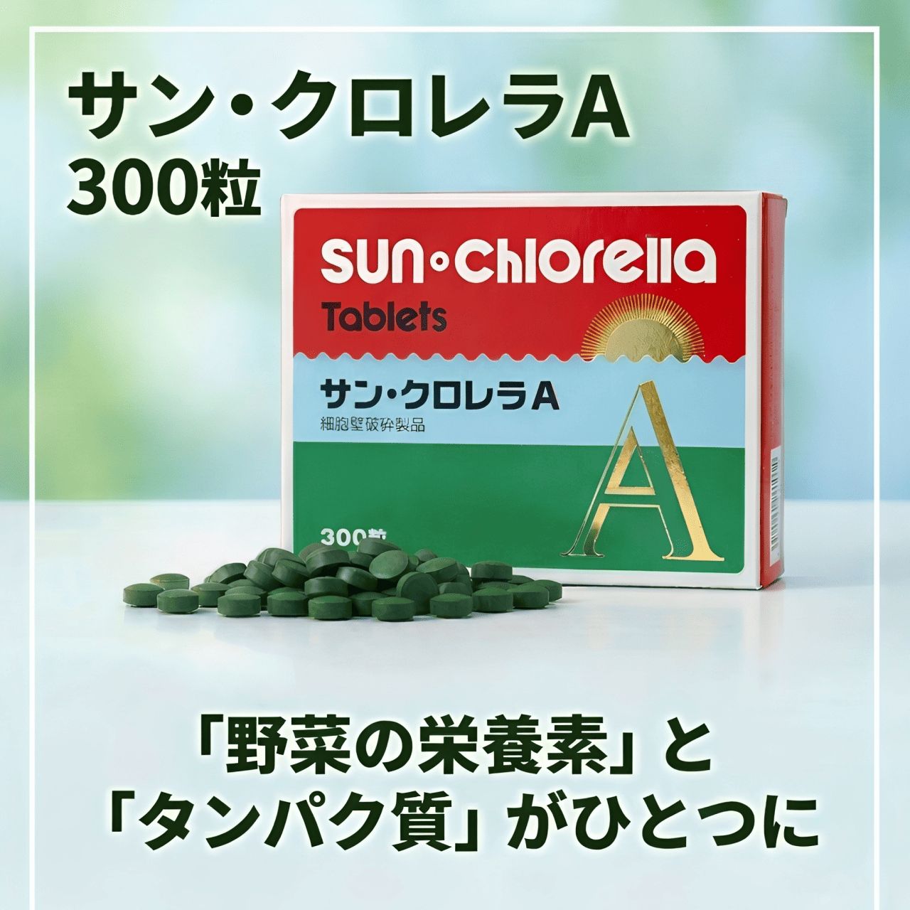 サンクロレラA 300粒 クロレラ クロロフィル サプリメント 藻活 正規 