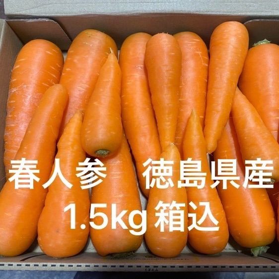 徳島県産 春にんじん 1.5kg 規格外 農家直送 - メルカリ