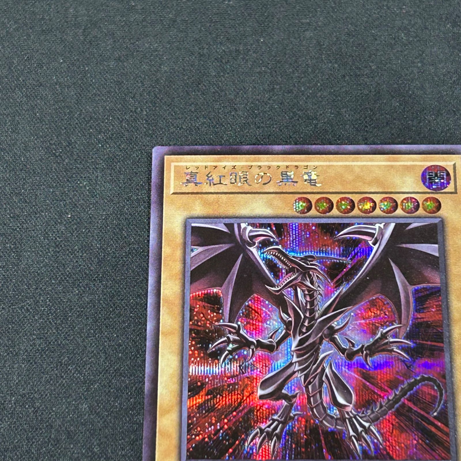 遊戯王 真紅眼の黒竜 レッドアイズブラックドラゴン 絵違い 
