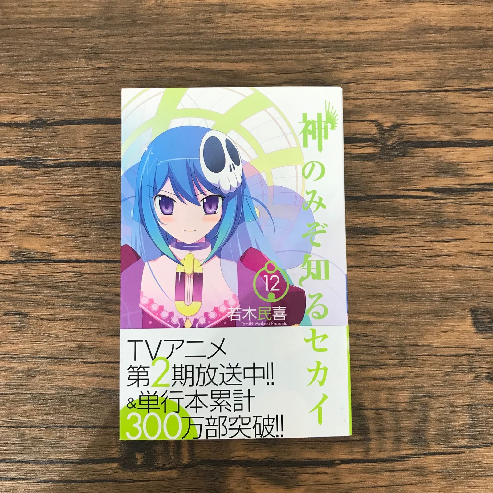 初版　神のみぞ知るセカイ 12/若木 民喜 初版』神のみぞ知るセカイ 12巻/【作者】若木民喜/GF-0226028226-YP