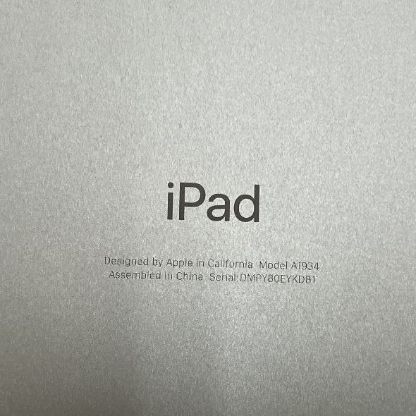 ジャンク Apple iPad Pro 11