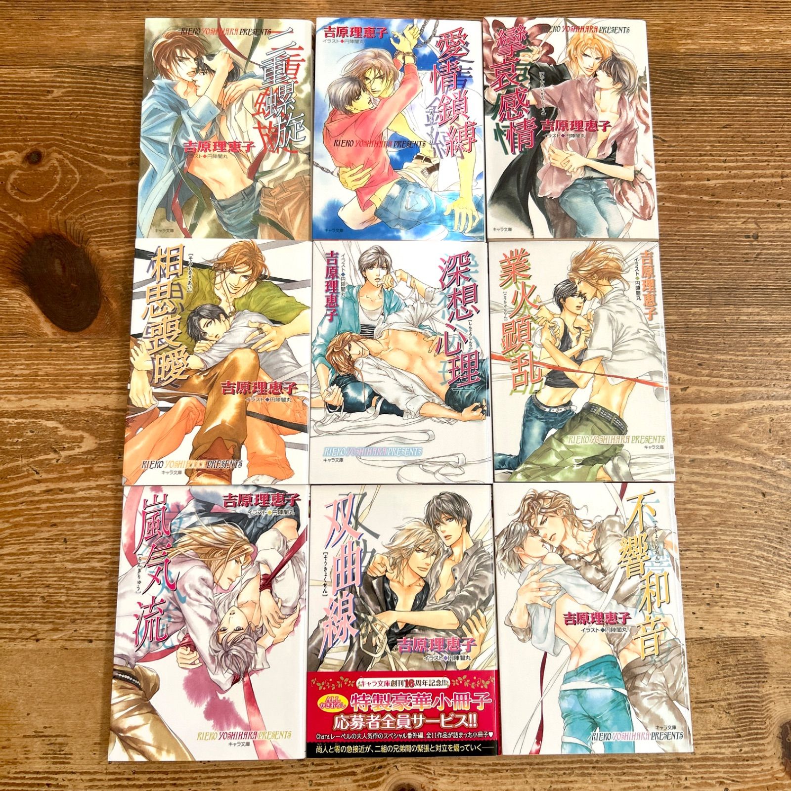 二重螺旋 吉原理恵子 1-15巻 番外編 18冊セット BL 小説 まとめ売り 
