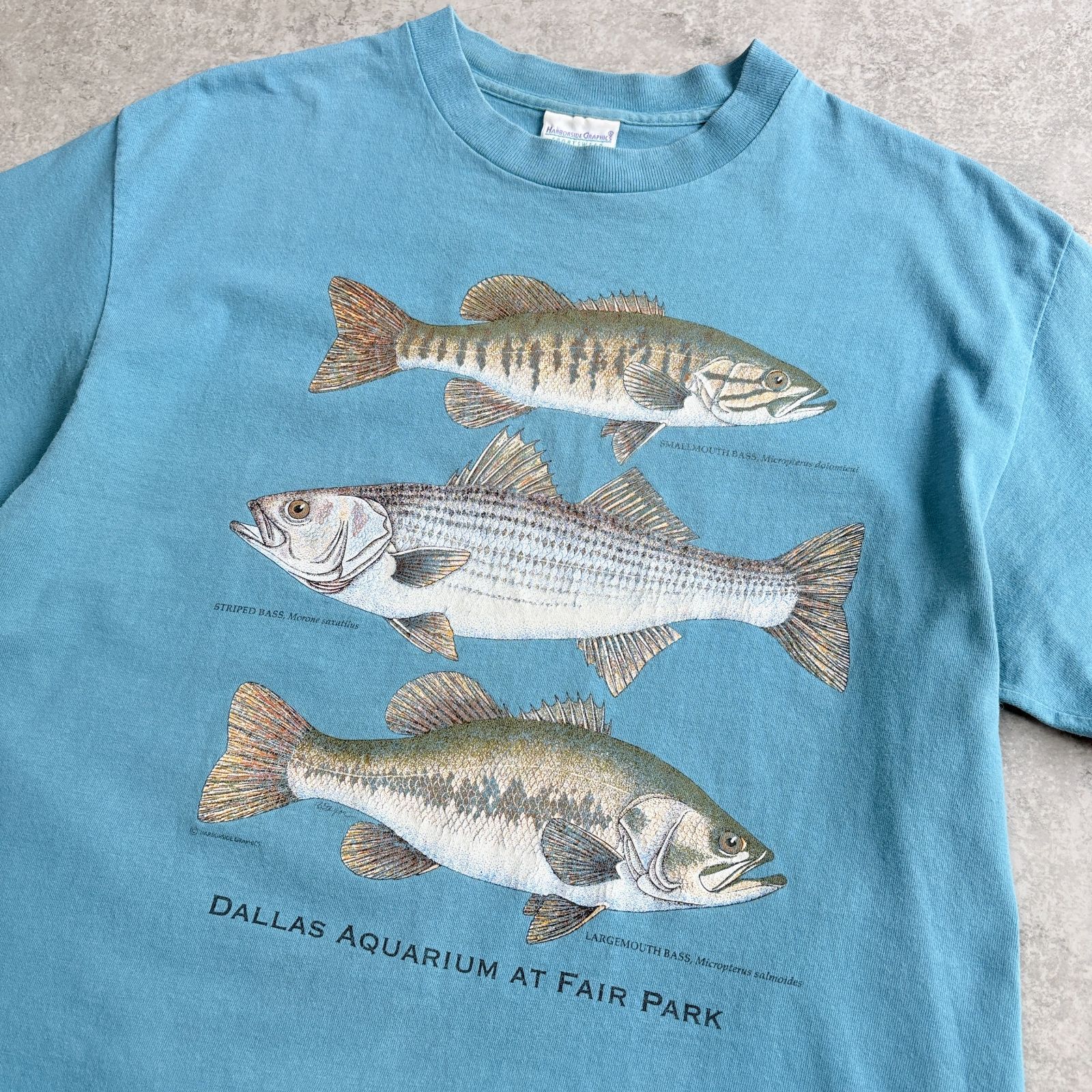 90s USA製 HARBORSIDE GRAPHICS Black Bass Printed T-shirt ハーバー 