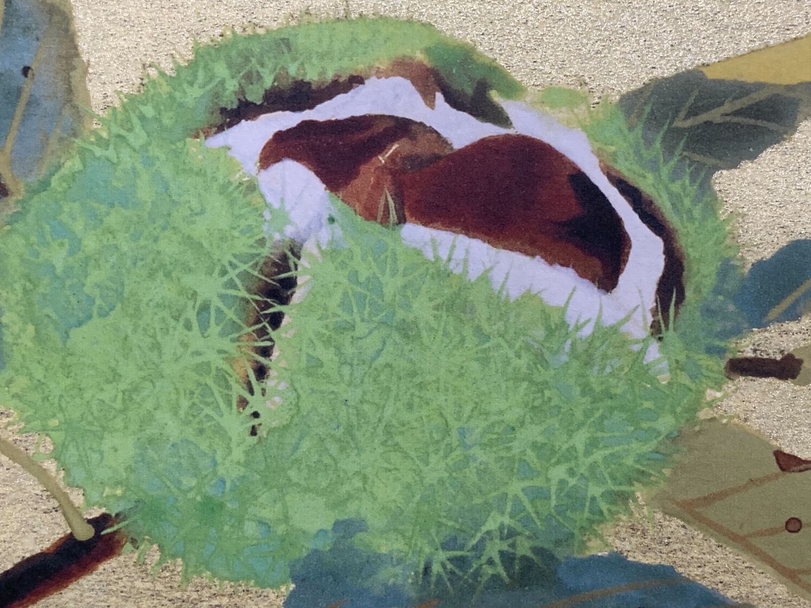 サカモトデイズ ちょこのせ 南雲 坂本太郎 フィギュア 11点セット 