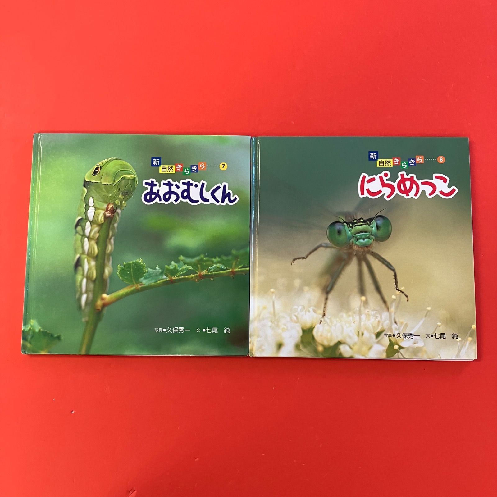 新 自然きらきら 偕成社 絵本 9冊セット 新自然きらきら 偕成社 絵本6冊セット 6rm_c0_170 - メルカリ