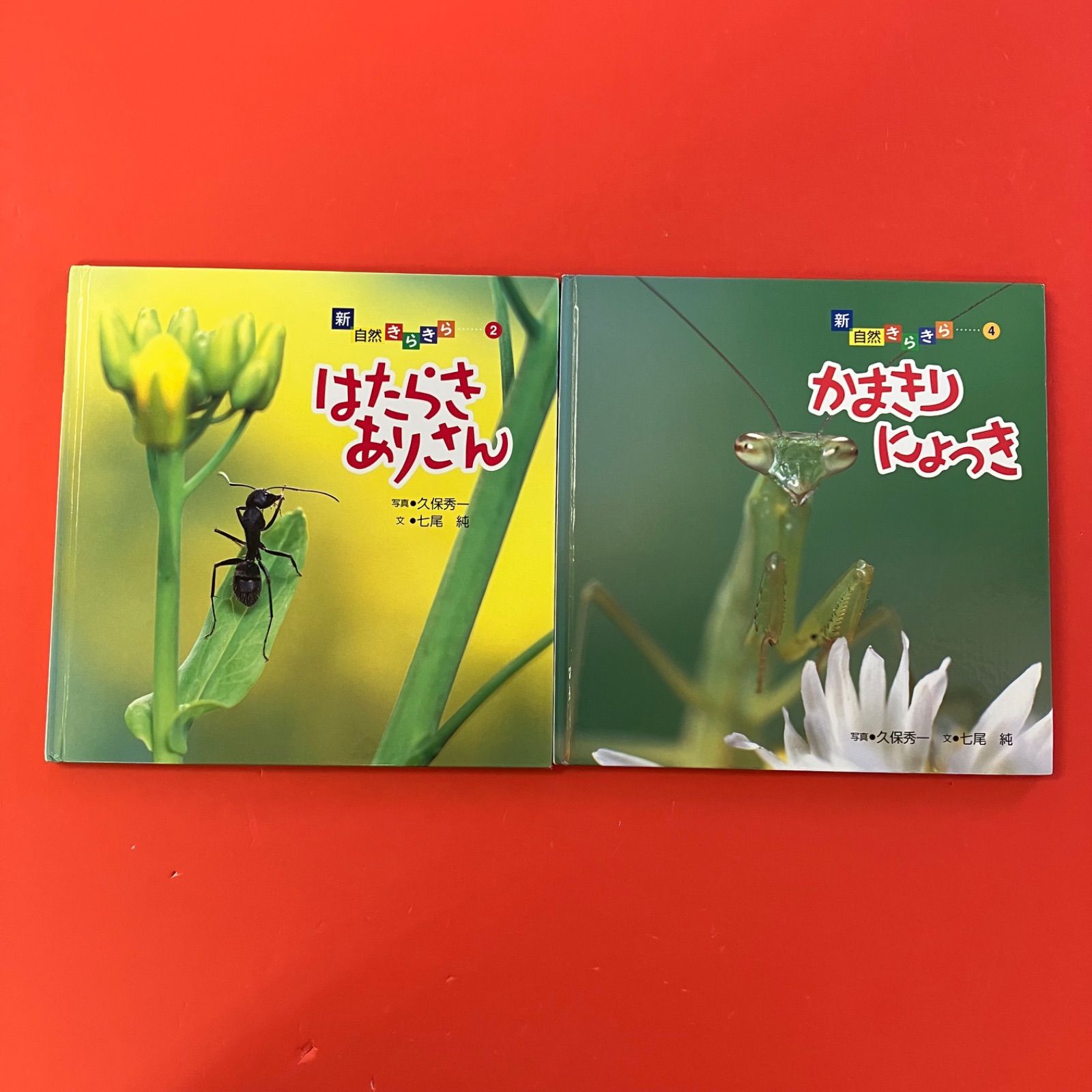 新 自然きらきら 偕成社 絵本 9冊セット 新自然きらきら 偕成社 絵本6冊セット 6rm_c0_170 - メルカリ