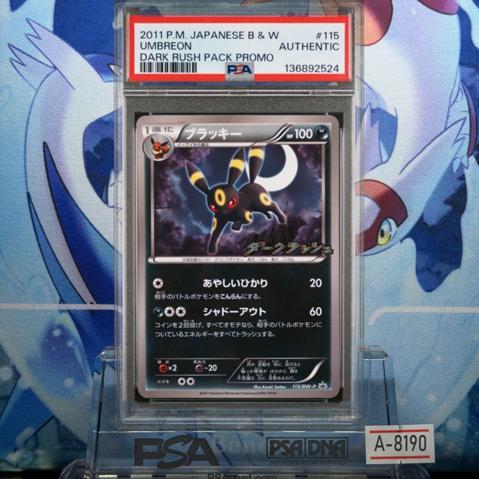 【PSA10】ブラッキー プロモ ダークラッシュキャンペーンパック PSA AUTHENTIC ブラッキー プロモ BW ダークラッシュ キャンペーン