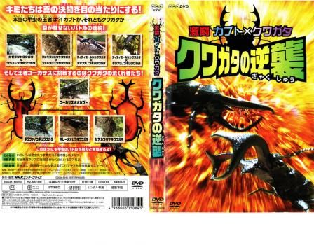 激闘 カブト×クワガタ クワガタの逆襲【その他、ドキュメンタリー 中古
