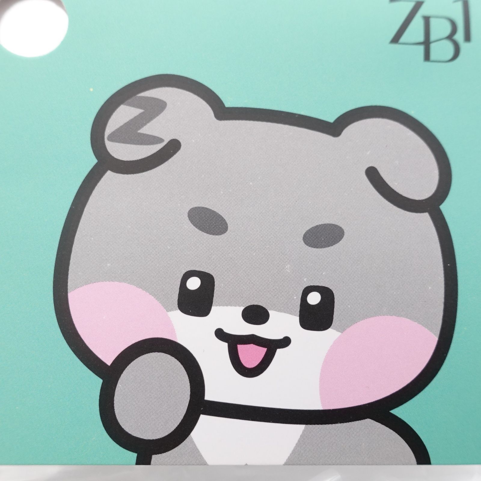 ZEROBASEONE ゴヌク ゴニニ gunini トレカケース ぬいぐるみ ZEROBASEONE ゴヌク ゴニニ PHOTO HOLDER KEYRING 未開封 トレカケース