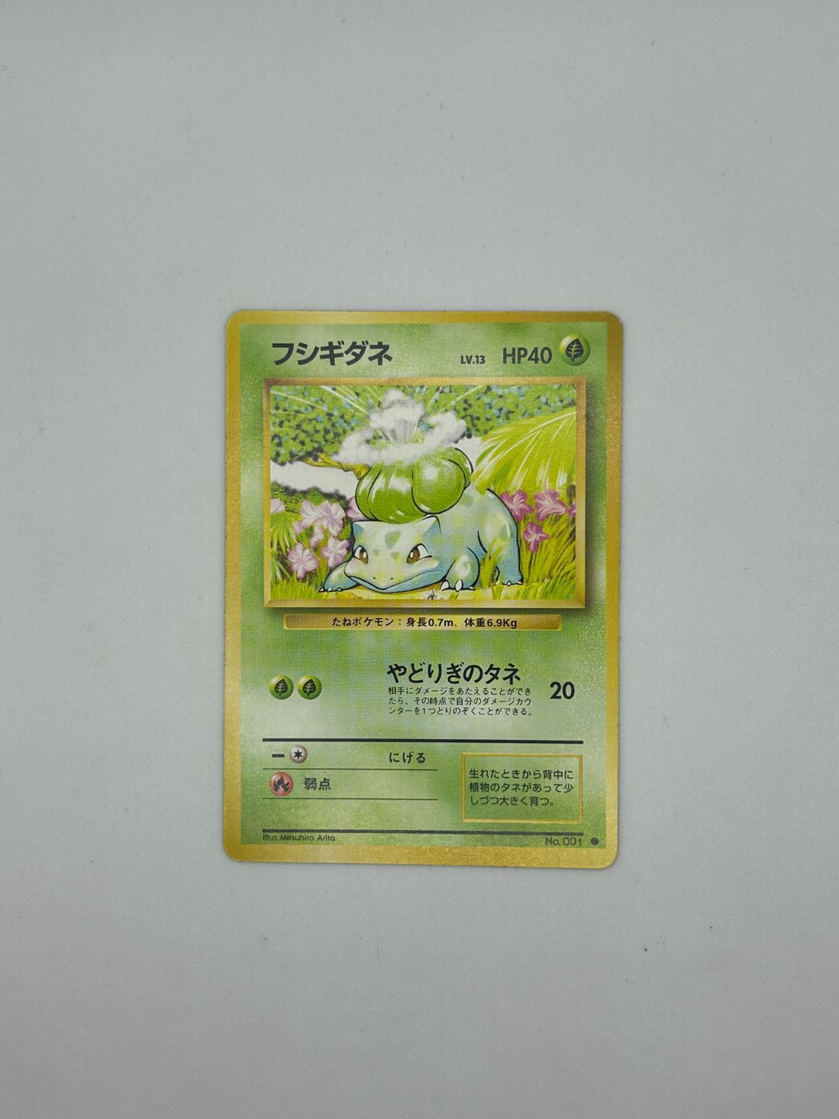送料無料 ポケモンカード 旧裏 初代 御三家 ゼニガメ ヒトカゲ