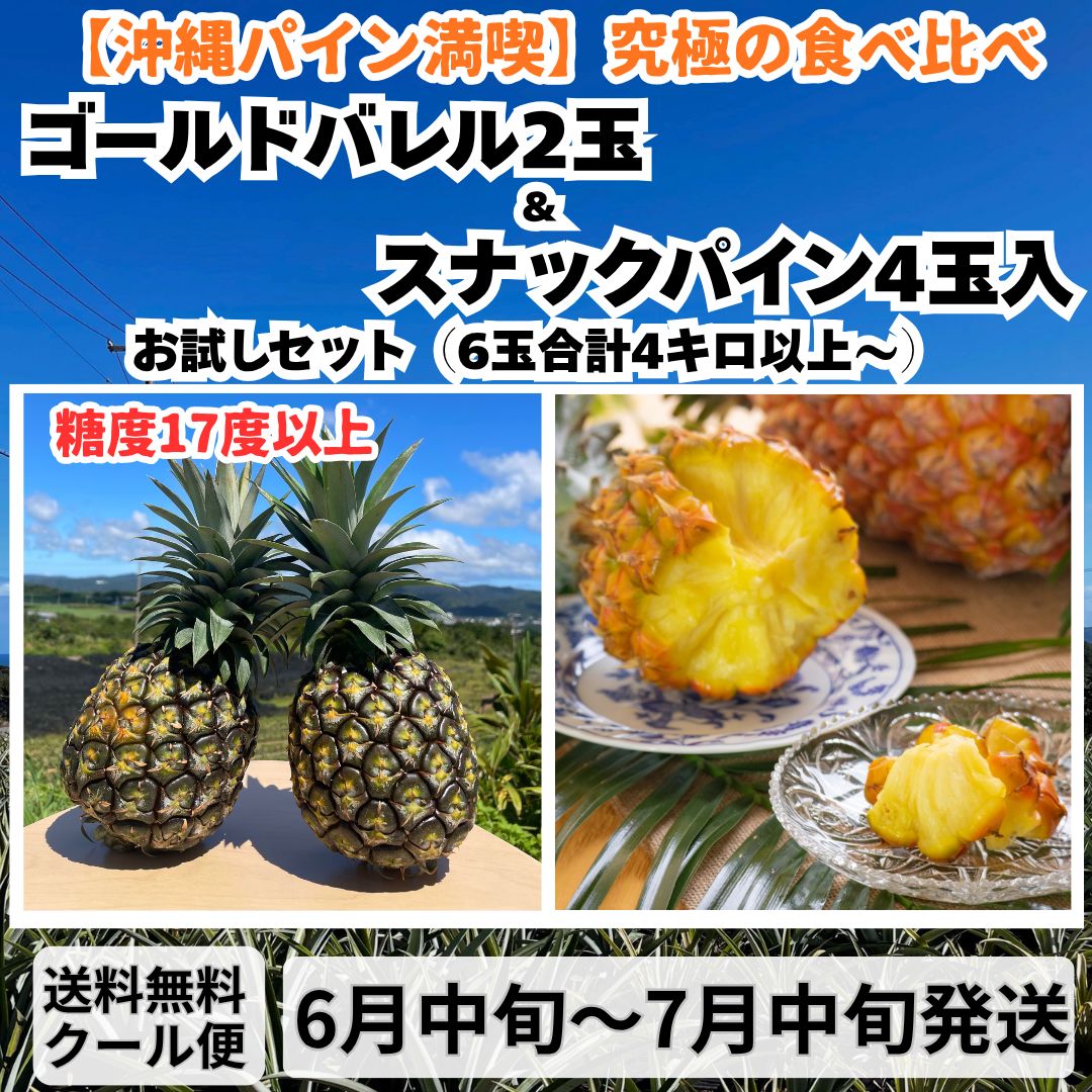 糖度17度超】沖縄パイン食べ比べ！ゴールドバレル＆スナックパイン 