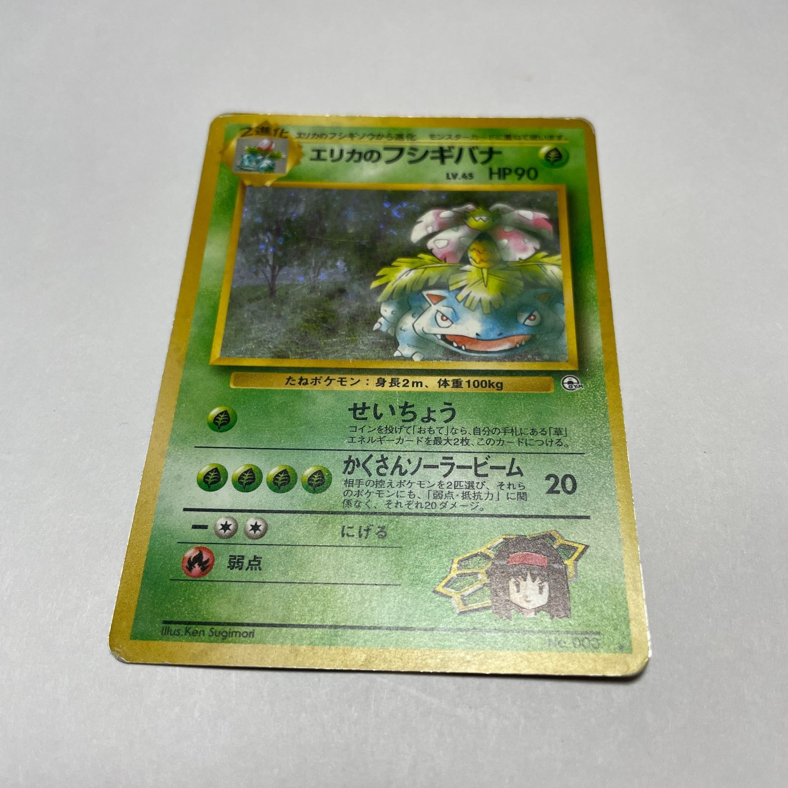 エリカのフシギバナ 闇からの挑戦 Erika's Venusaur Gym Challenge