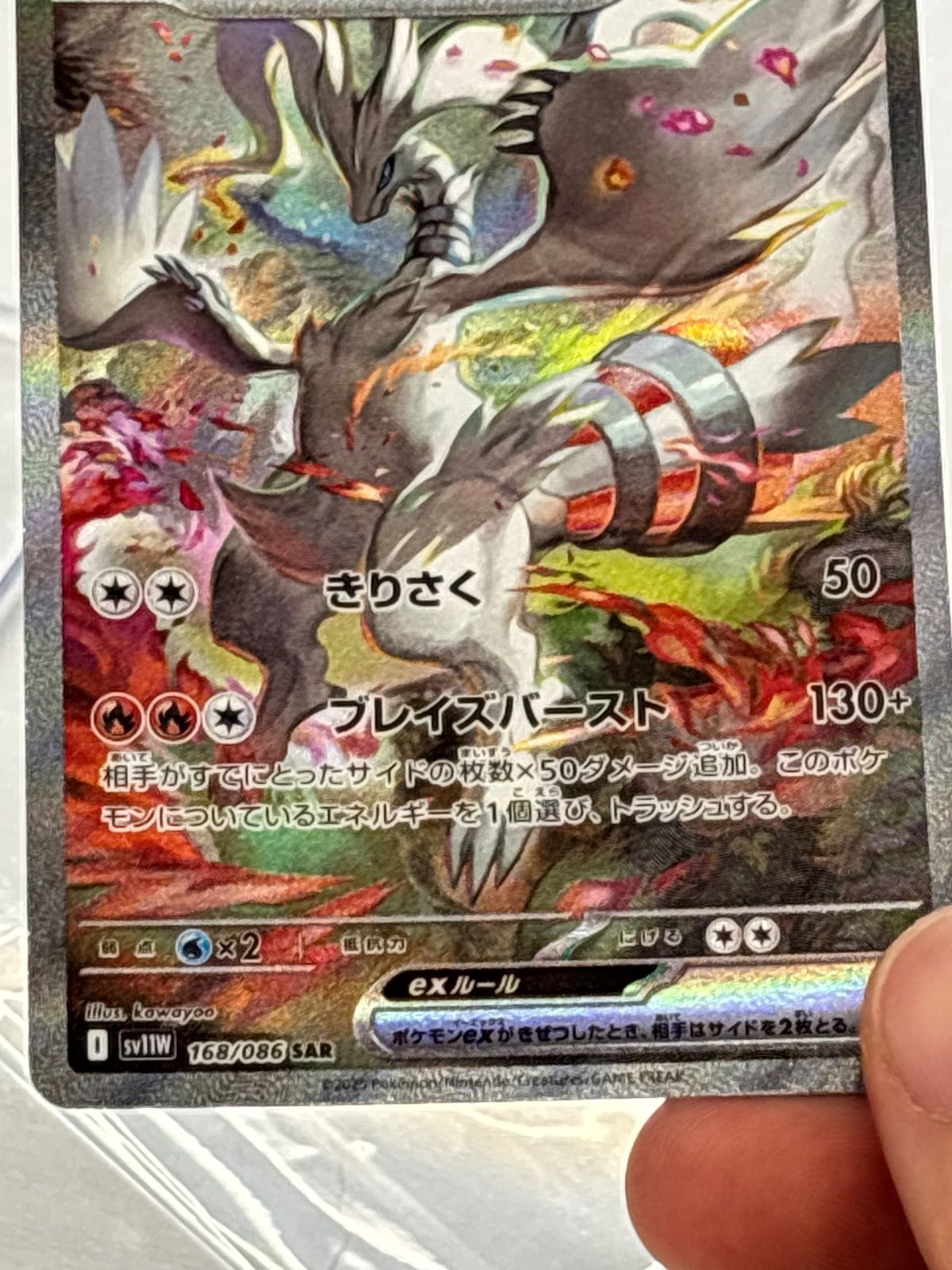 ホワイトフレア　レシラムex　SAR　完美品 ホワイトフレア レシラムex SAR 完美品 【公式通販】