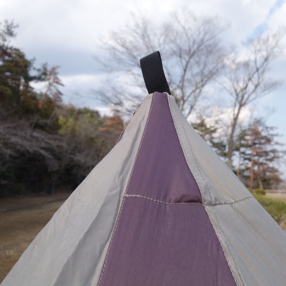 希少 ブラックダイヤモンド Black Diamond メガミッド ワンポール