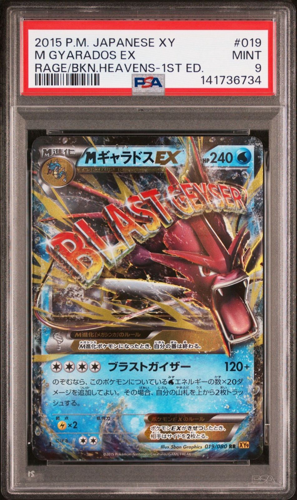 MギャラドスEX RR XY9 破天の怒り 019/080 PSA9 - メルカリ