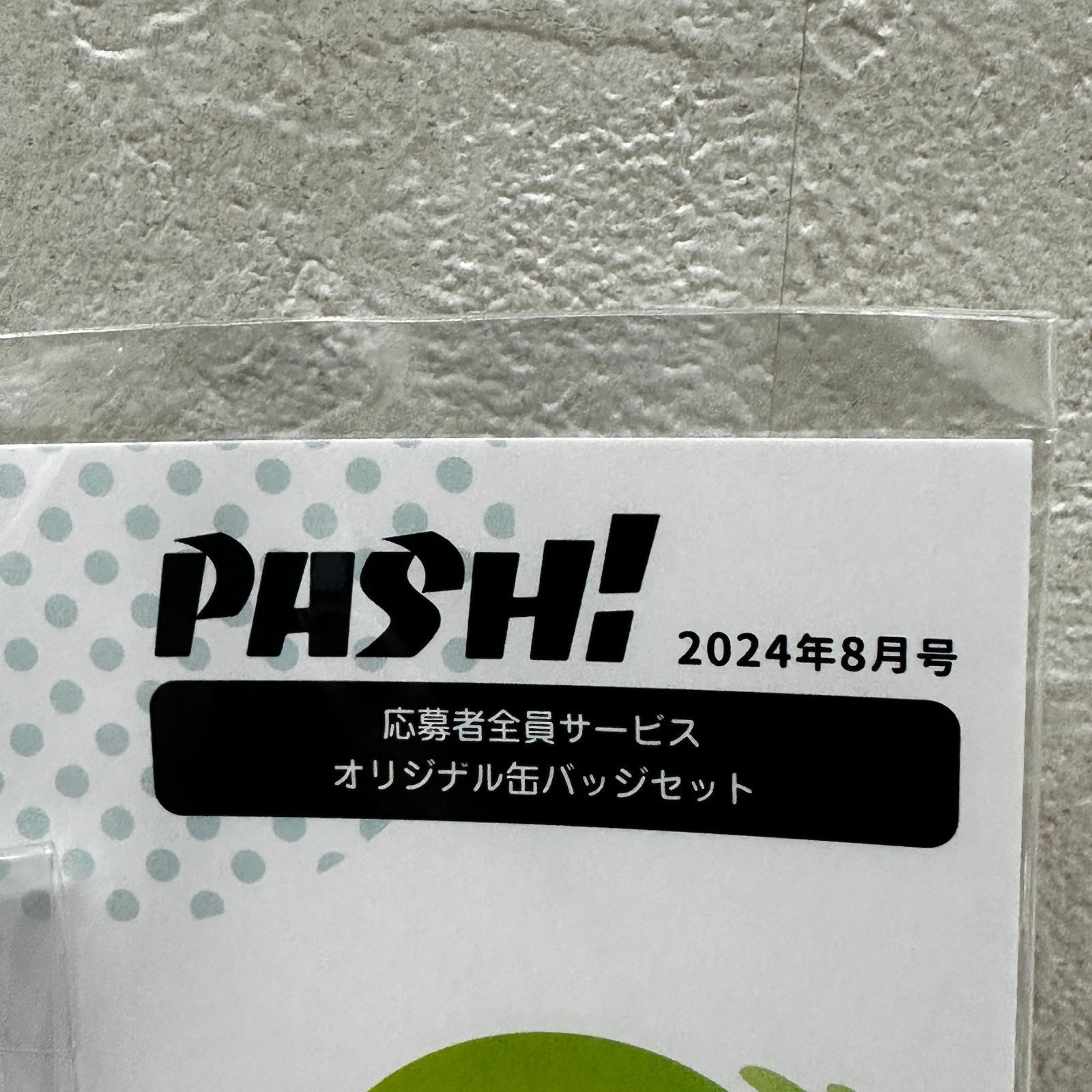 エイトリ pash PASH 応募者全員サービス 18TRIP エイトリ 缶バッジ 北