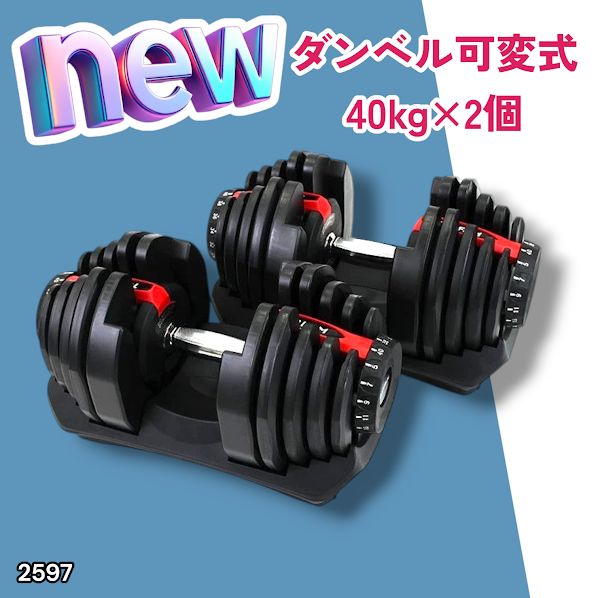 2597 ダンベル 可変式 レッド 40kg 2個 総重量80kg 多機能 5~40kg 17 