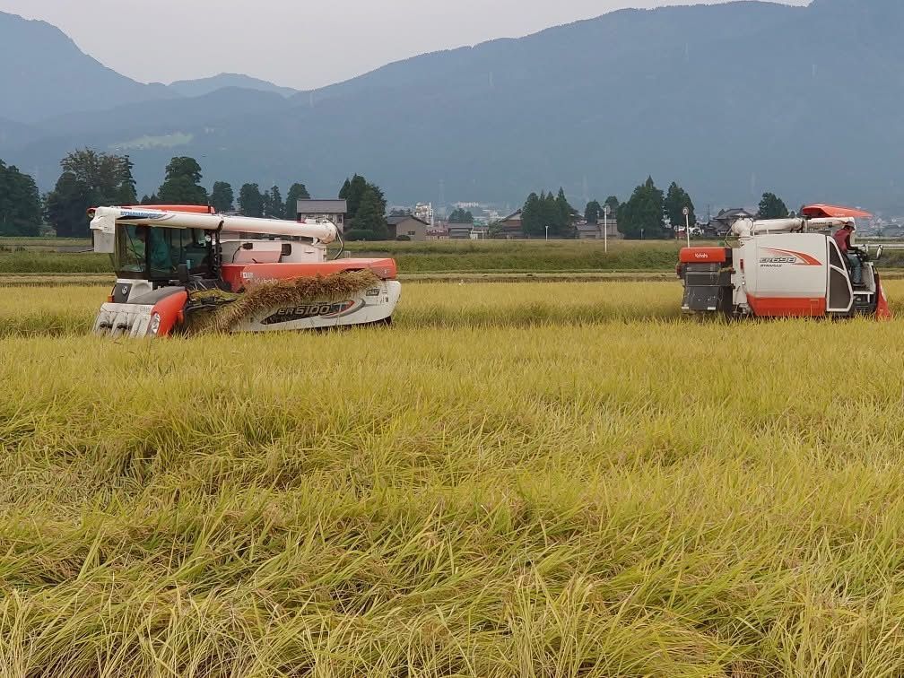 令和7年産 富山県産コシヒカリ27kg 白米 - メルカリ