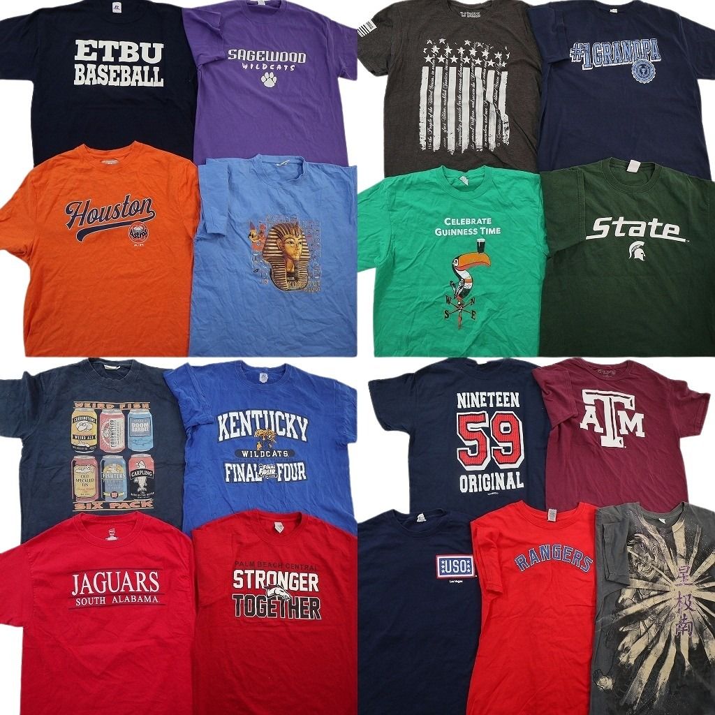 古着卸 まとめ売り カラー Tシャツ 17枚セット ( メンズ L ) 大判 