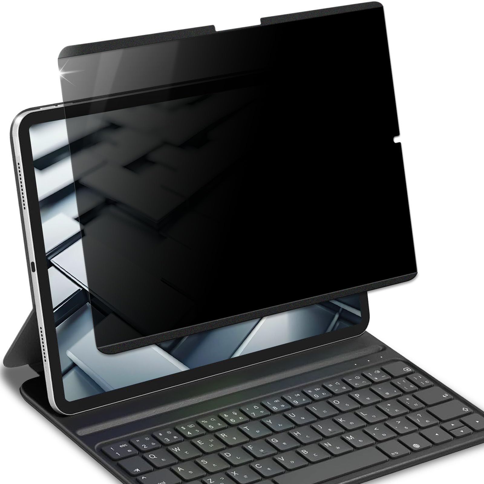 新品 Lifeinnotech iPad Pro 13インチ M5 2025年 M4 2024年用 のぞき見防止 マグネット式 のぞき見防止 プライバシーフィルター 保護フィルム ブルーライトカット