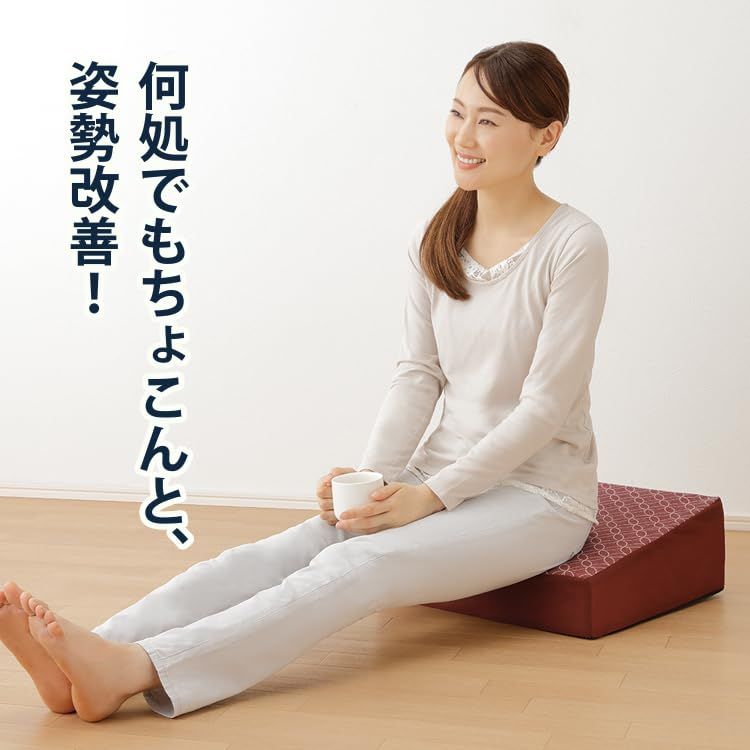 新品 MEIDAI(メイダイ) 腰にやさしい床坐クッション エンジ