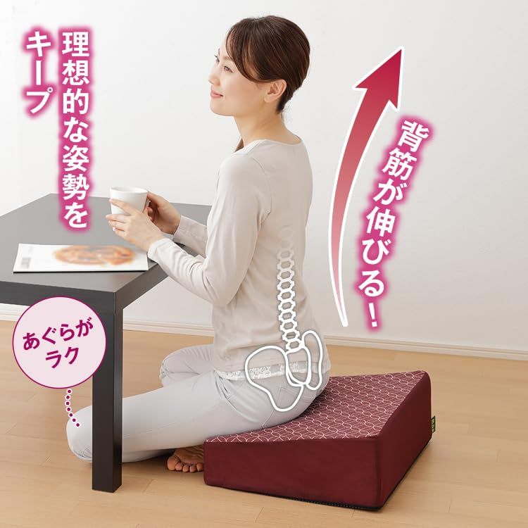 新品 MEIDAI(メイダイ) 腰にやさしい床坐クッション エンジ