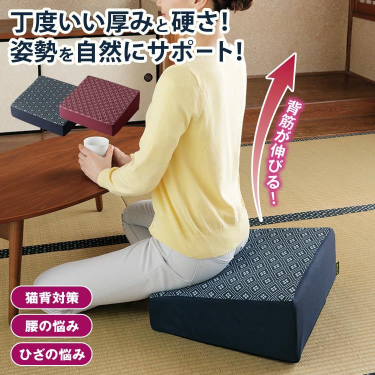 新品 MEIDAI(メイダイ) 腰にやさしい床坐クッション エンジ