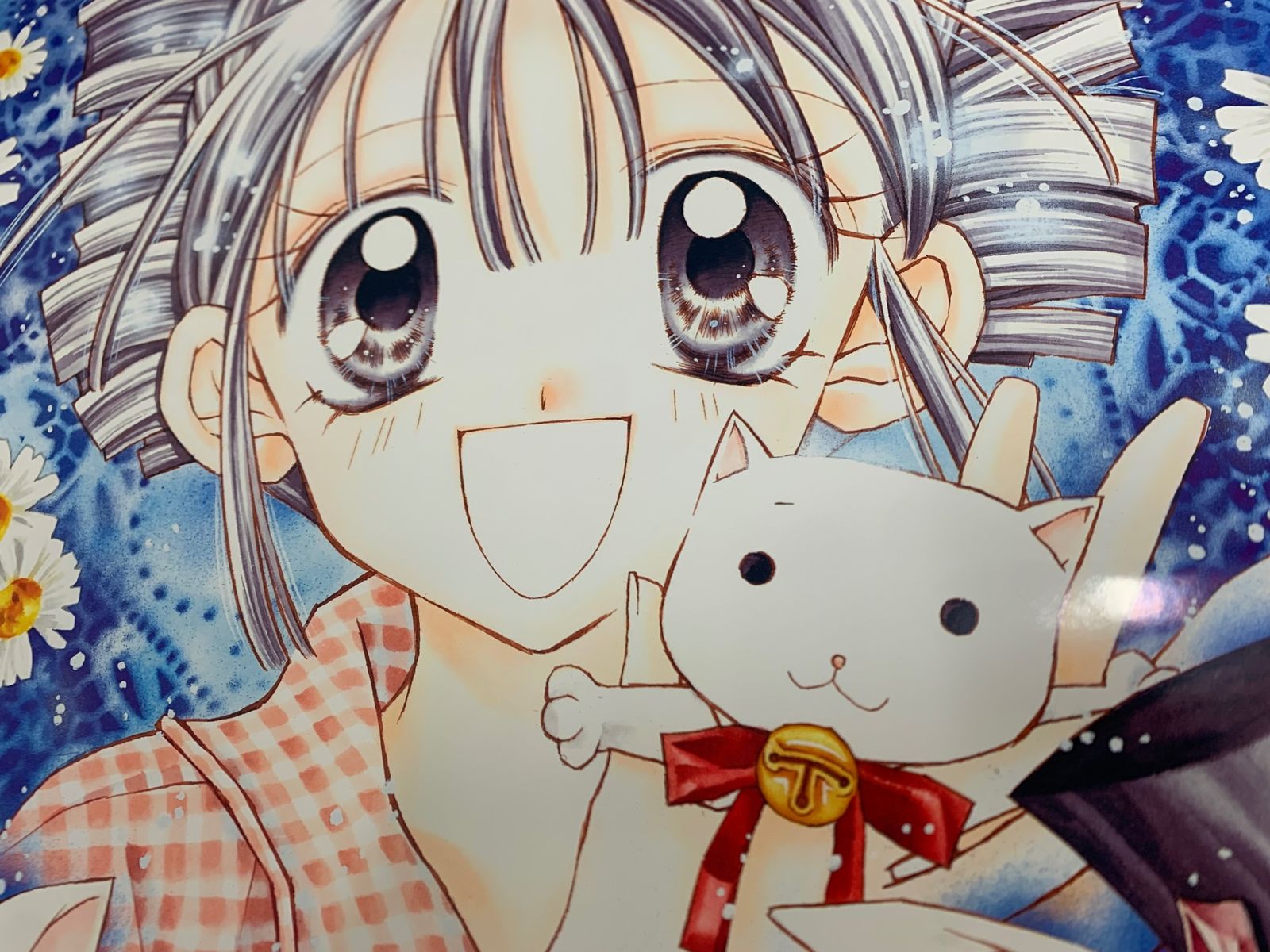 当時物☆ りぼん 応募者全員大サービス ポスター 満月をさがして 種村 