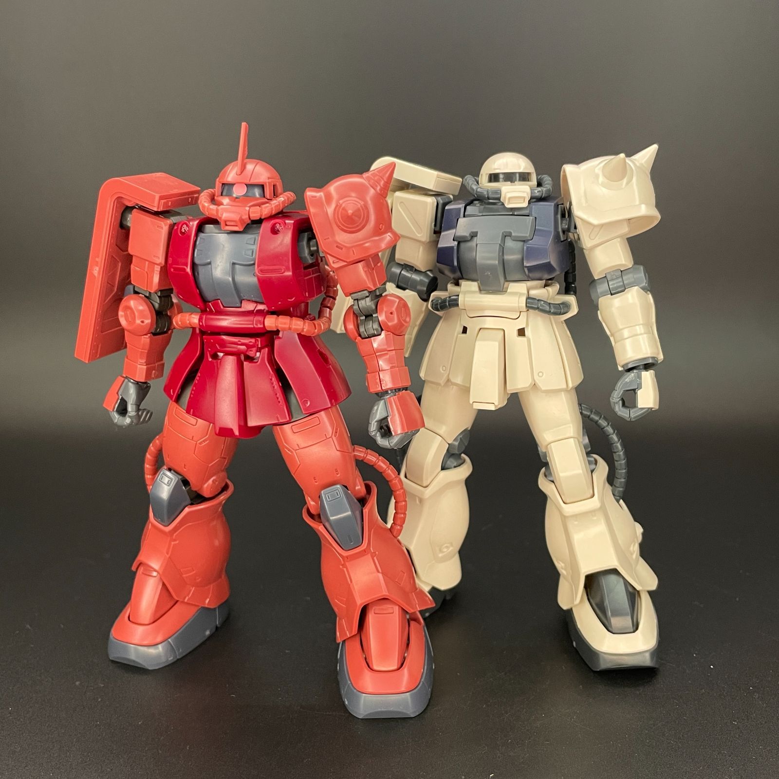 未開封hgムーンガンダム　ザク　2点セット HG 1/144 ザクIIF型 ルショーン機＆無識別型ザクII ルショーン機