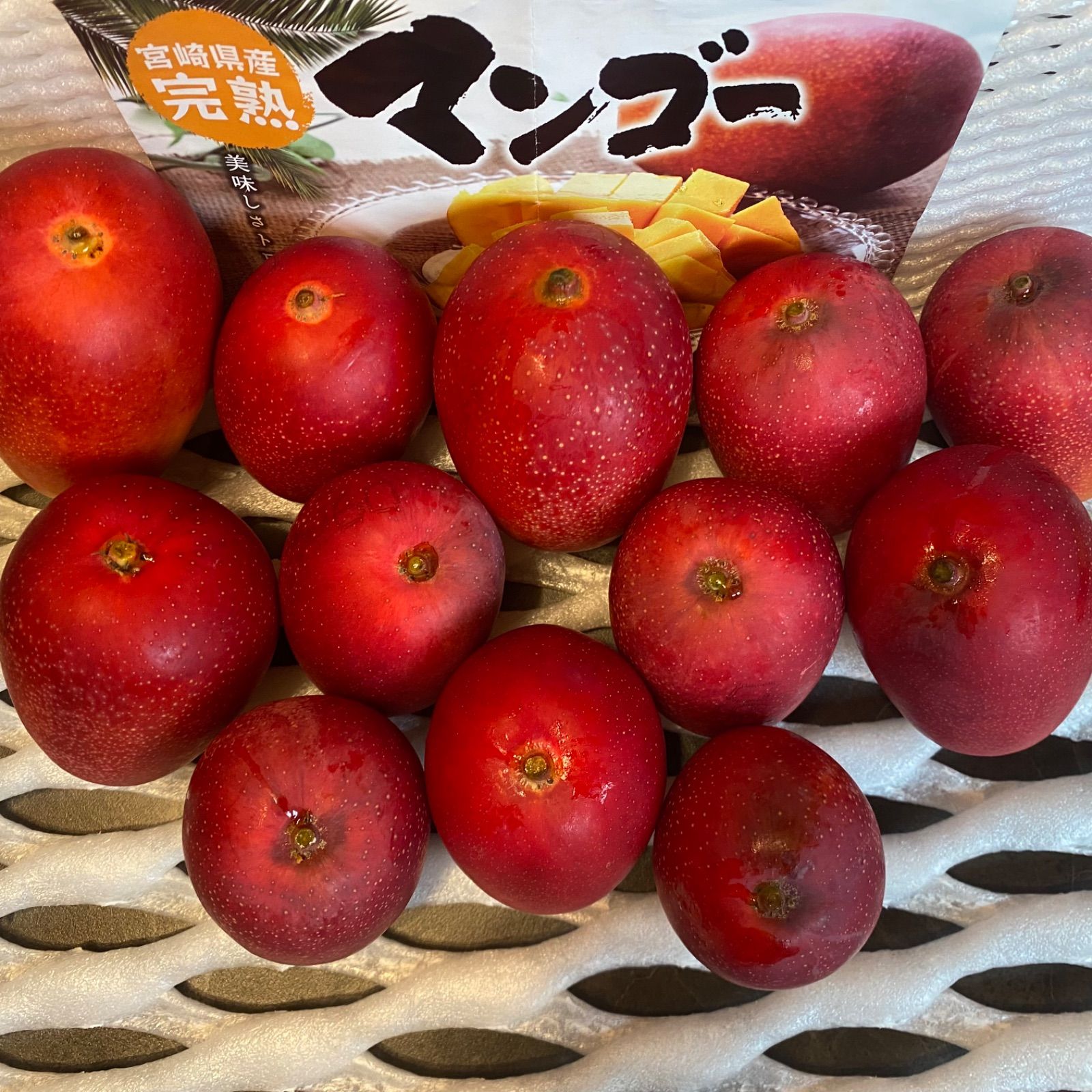 宮崎完熟】特大ミニマンゴー 12玉 約2kg - メルカリ