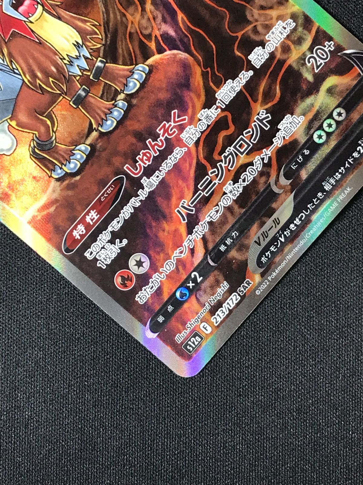 ポケモンカードゲーム ポケカ エンテイV SAR S12a-213 S12a ハイクラス