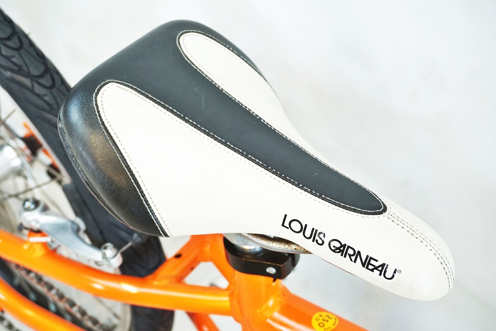 LOUIS GARNEAU 「ルイガノ」 LGS-J206 2022年モデル キッズバイク 