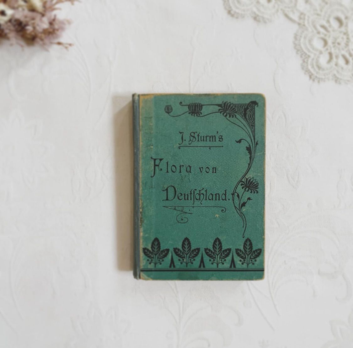 1902年 ドイツの美しい植物図鑑 J. Sturm's Flora von Deutschland