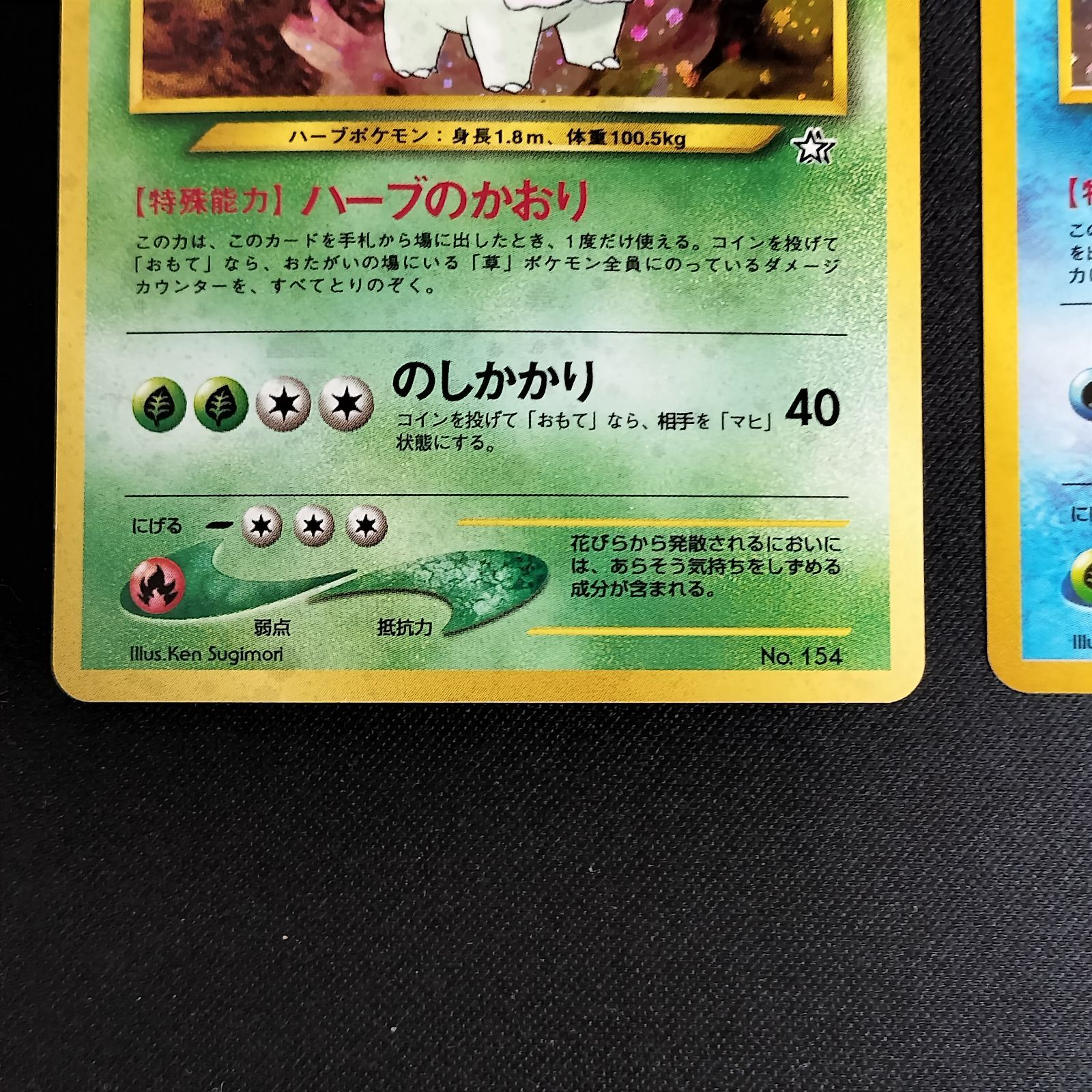 メガニウム　オーダイル　バクフーン　旧裏 neo プレミアムファイル 御三家 neoプレミアムファイル：メガニウム/バクフーン/オーダイル ポケモン