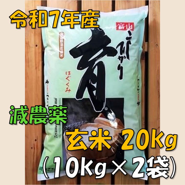 コシヒカリ20キロ、玄米 令和6年栃木県佐野市産 コシヒカリ 玄米 20
