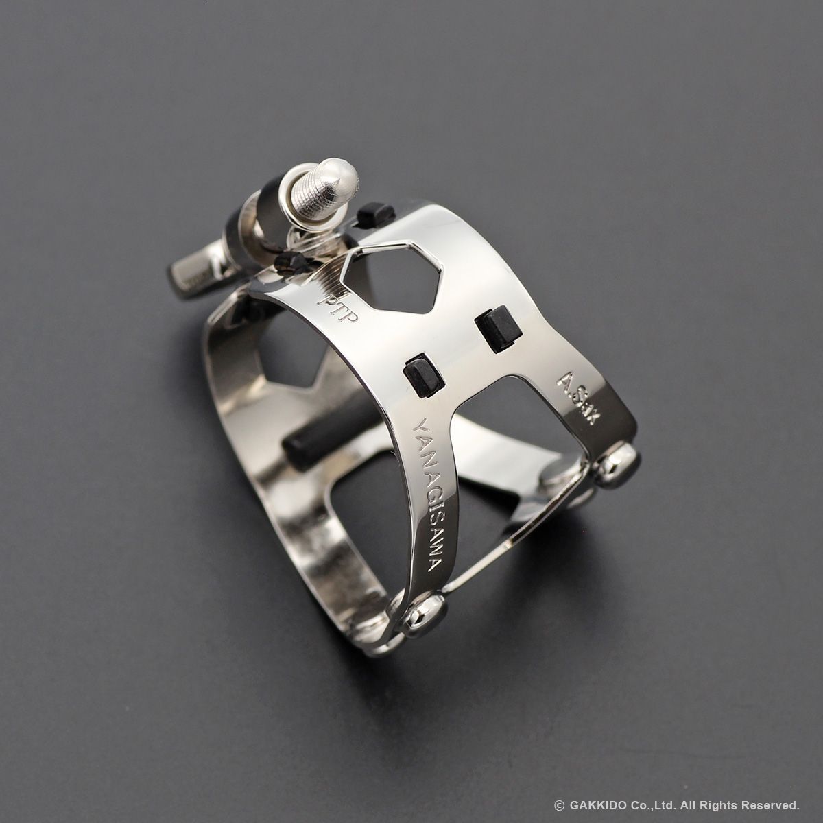 Yanagisawa(ヤナギサワ) Yany SIXS Solid Silver アルトサックス用
